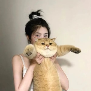 快手号被人举报后怎么办快手号被人举报后怎么办理